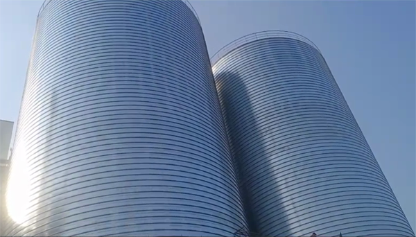 萝北2座混凝土高架卷板仓